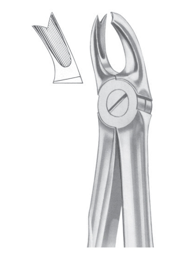 Extracting Forceps English Pattern